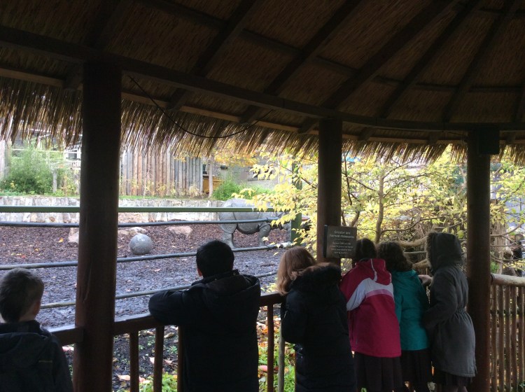 8D81F4D0-BC83-403D-BFFD-88A46B346A15